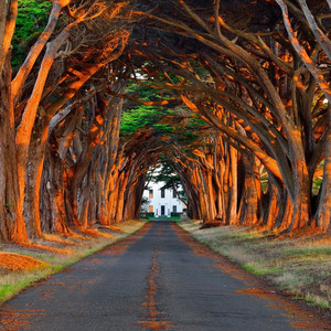 啊哈又加一指啊哈啊
